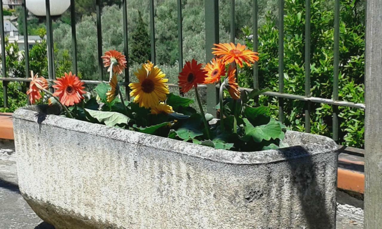 Apartment Bellavista Moneglia